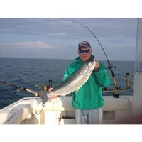 John Messina's profile image