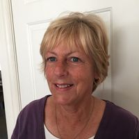 Krista Carstens's profile image