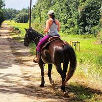 Brittani Jernigan Jones's profile image