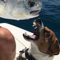Steve Sewell's profile image
