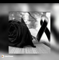 Martha Almendarez's profile image