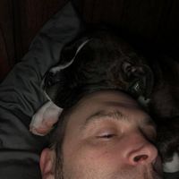 Todd Henneberry's profile image