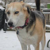 Crystal Manley's profile image