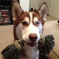 Kerlin Danlwor's profile image