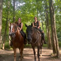 Julie Lashley's profile image