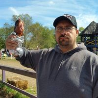Sal Garrisi's profile image