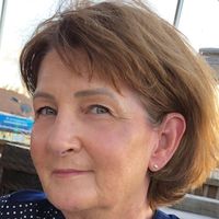 Colleen King Freeman's profile image