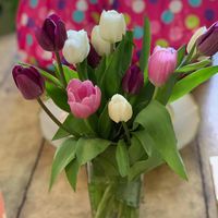 Helene Watts's profile image
