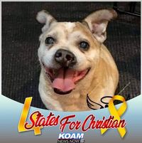 Adam N Jessica Smith's profile image
