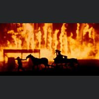Rhonda Logan Wills's profile image
