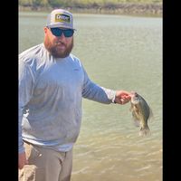 Justin Walls's profile image