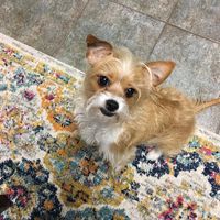 Kim Nuckolls's profile image