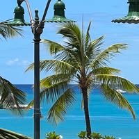 Bryan Delockery's profile image