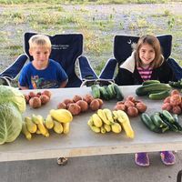 Nickey Nichols's profile image