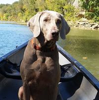 Jacob Gonzalez's profile image