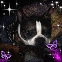 Kim Walton's profile image