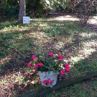 Rita Nelson's profile image