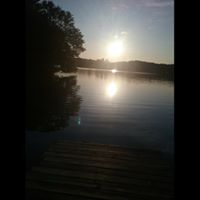 Cindy Masi's profile image