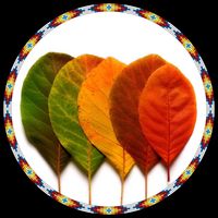 Becky Bodecky's profile image