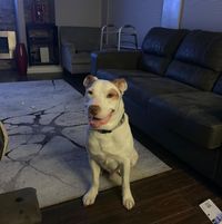 Sid Melton's profile image