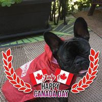 Pauline Buell's profile image