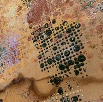 Mike Sutton's profile image