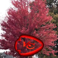 Teresa Bingham's profile image