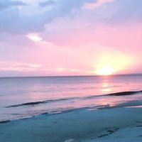 Amy Brock Holderfield's profile image