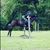Traci Raabe's profile image