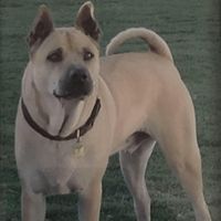 Marie Rubottom's profile image