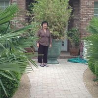 Tam Tran's profile image