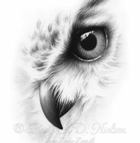 Madison Wulbrecht's profile image