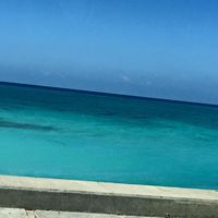 Heidi Hansen's profile image