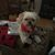 Barby Holifield's profile image