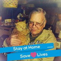 Bill Wilkes's profile image