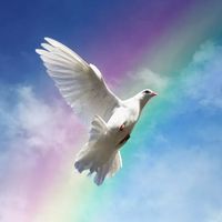 Paula Lucas's profile image