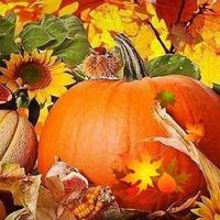 Wendy Dahlen's profile image