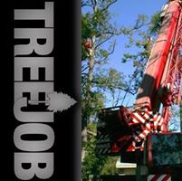 John Cutter's profile image