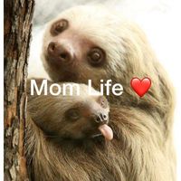 Leigh McMinn's profile image