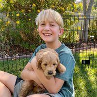 Meryl Wallis Chase's profile image