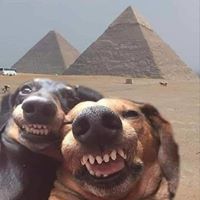 Matthew Branca's profile image