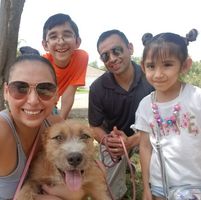 Ana Delgado's profile image