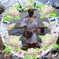 Kim Y Henderson's profile image