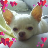 Marie Angeludis's profile image