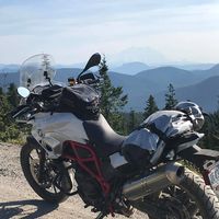 Michele A Overholt's profile image