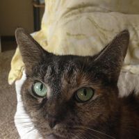 Bon Hafer Bryner's profile image