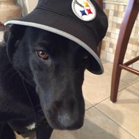 Billy D Hunt's profile image