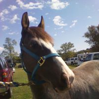Blue Twh's profile image