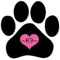 Robin Skjerseth's profile image