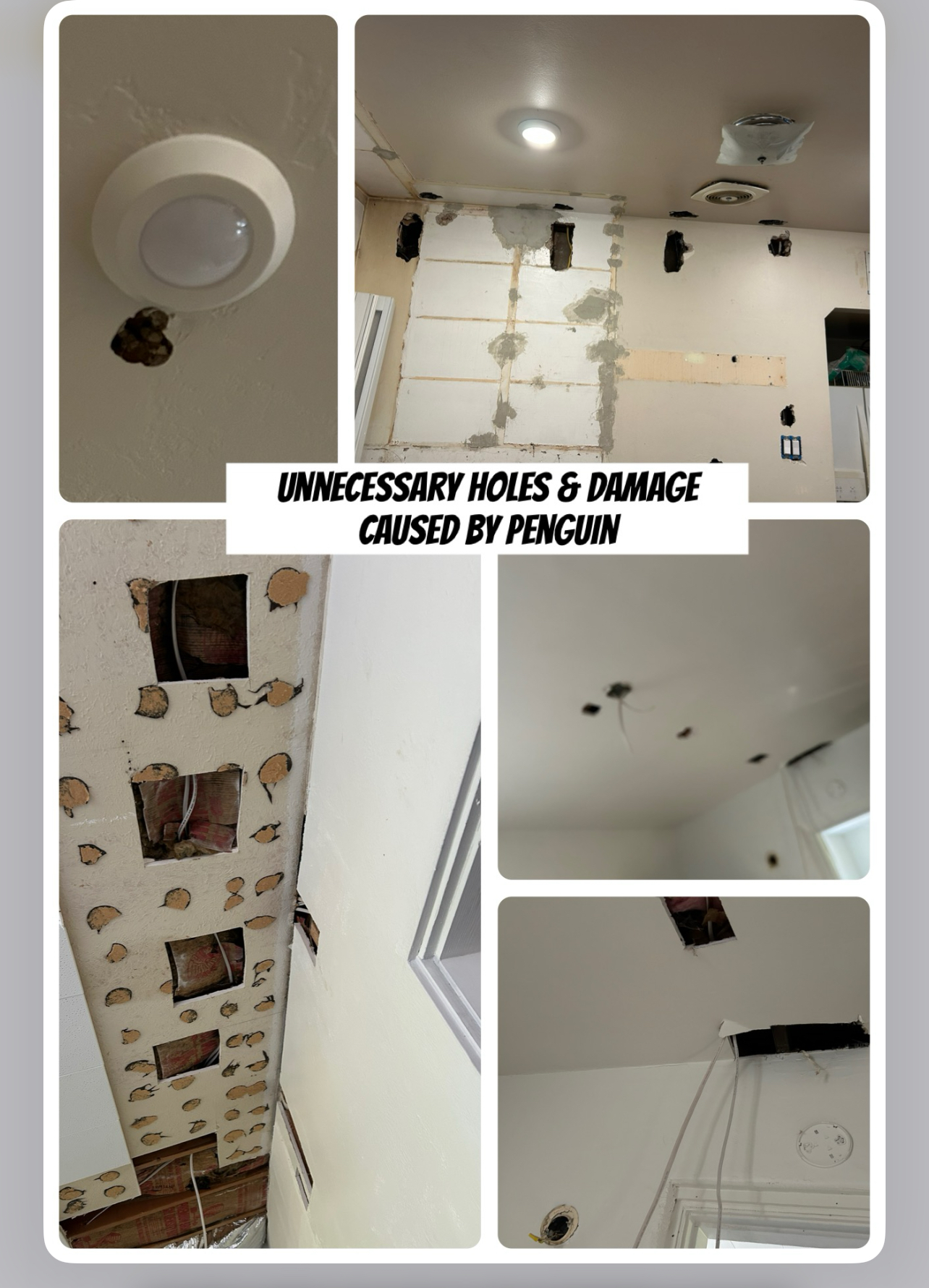 Michelle C.'s post 1